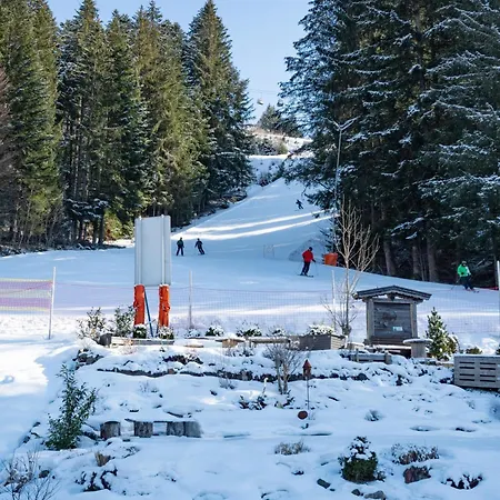 Haus Malerwinkl * אלמאו